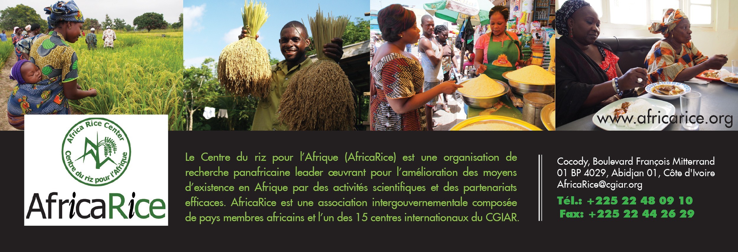 AFRICA RICE CENTER (AfricaRice) - Agroalimentaire