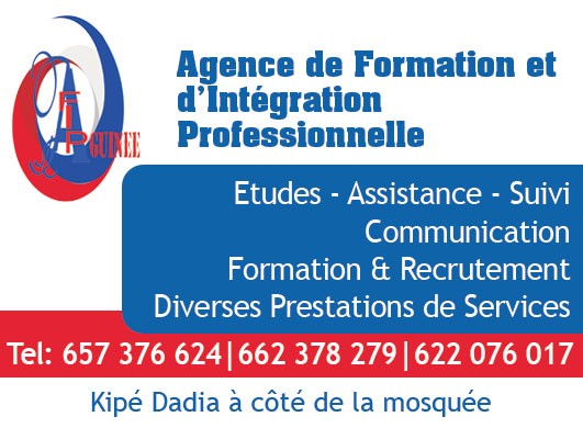 AFIP GUINEE (AGENCE DE FORMATION ET D'INTEGRATION PROFESSIONNELLE ...
