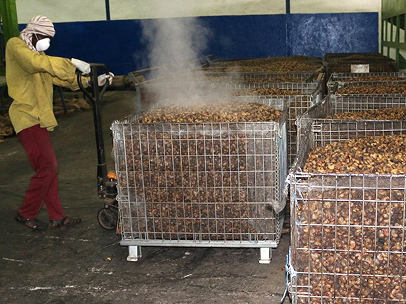 stnc-societe-de-transformation-de-noix-de-cajou-agroalimentaire