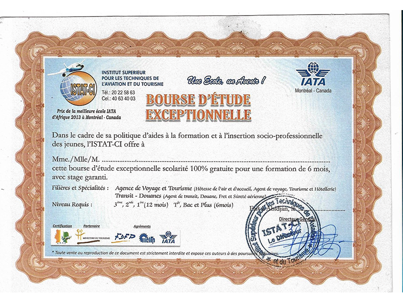 istat aviation