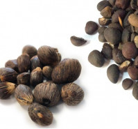 Vente de noix de palme et noix de palmiste