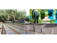 Film agricole