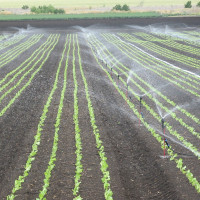 Kits d'irrigation