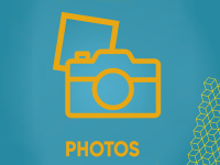 Photos