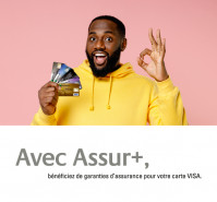 ASSUR+