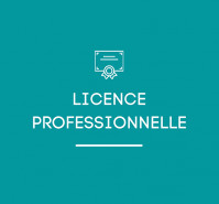 Licence professionnelle