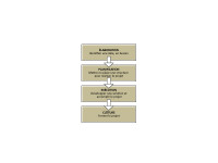 Etude de projet