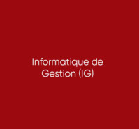 Informatique de Gestion (IG)