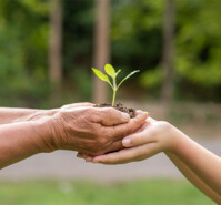 Gestion de la santé communautaire et de l’environnement