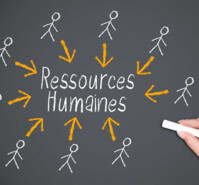Gestion des ressources humaines