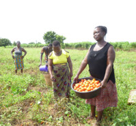 Agriculture