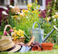 Jardinage