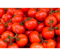 TOMATES