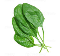EPINARDS