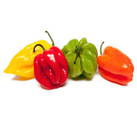 PIMENTS
