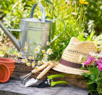Entretien, nettoyage et jardinage